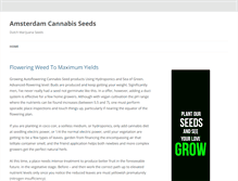 Tablet Screenshot of amsterdam-cannabis-seeds.info